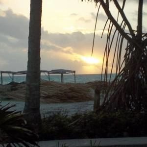 Meet your Posher, Mavrick